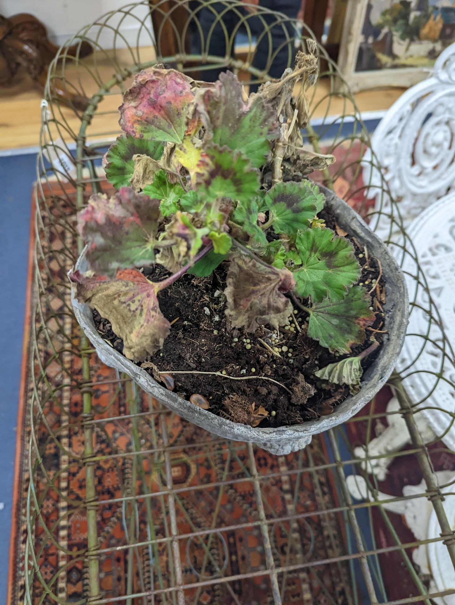 A Victorian lead pedestal planter, height 22cm